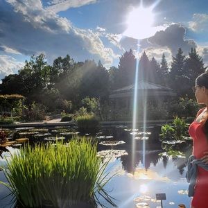 Meet your Posher, Irays